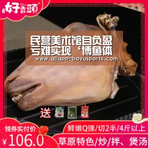 博鱼体育帮助中心 