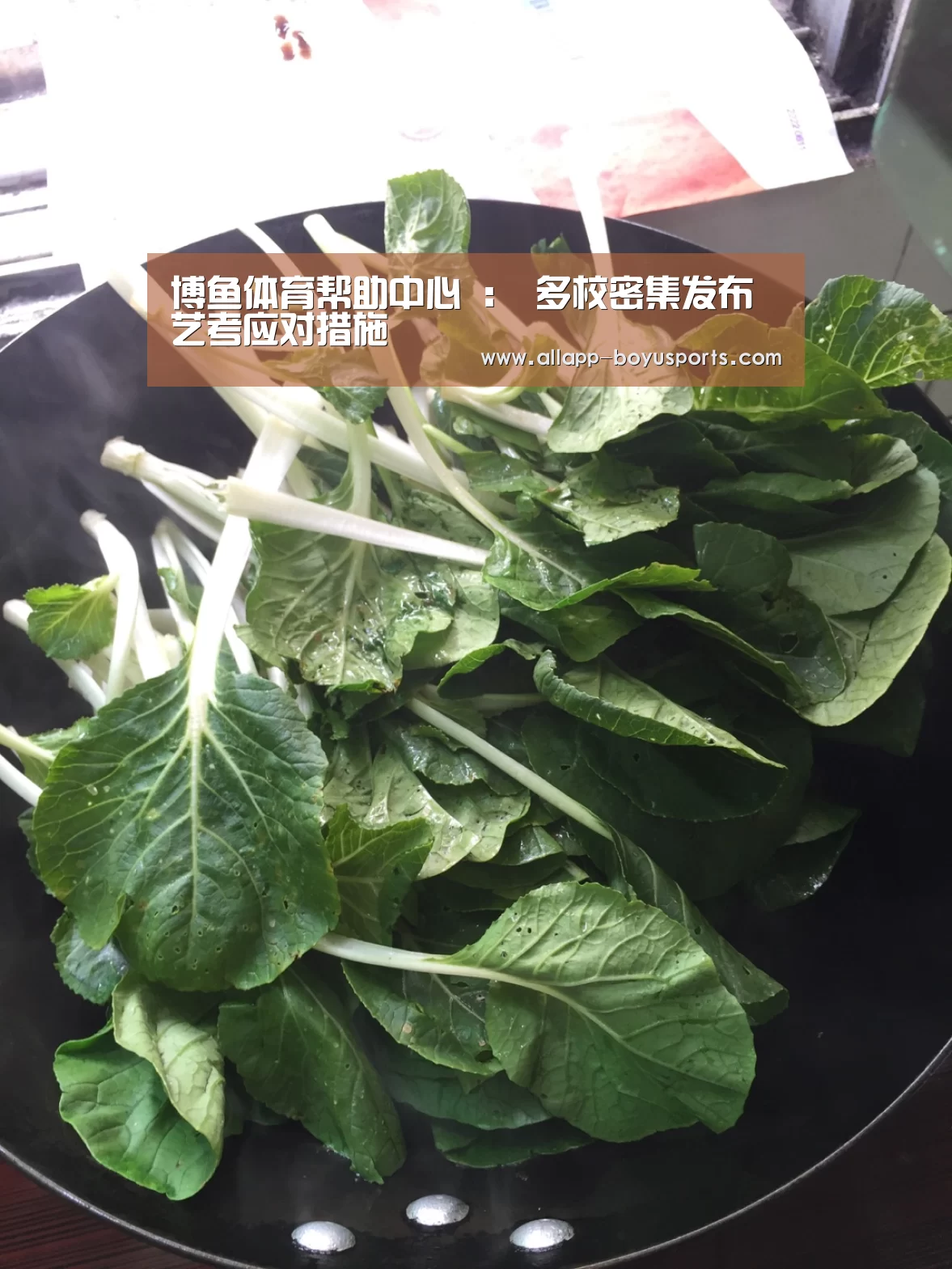 博鱼体育帮助中心 
