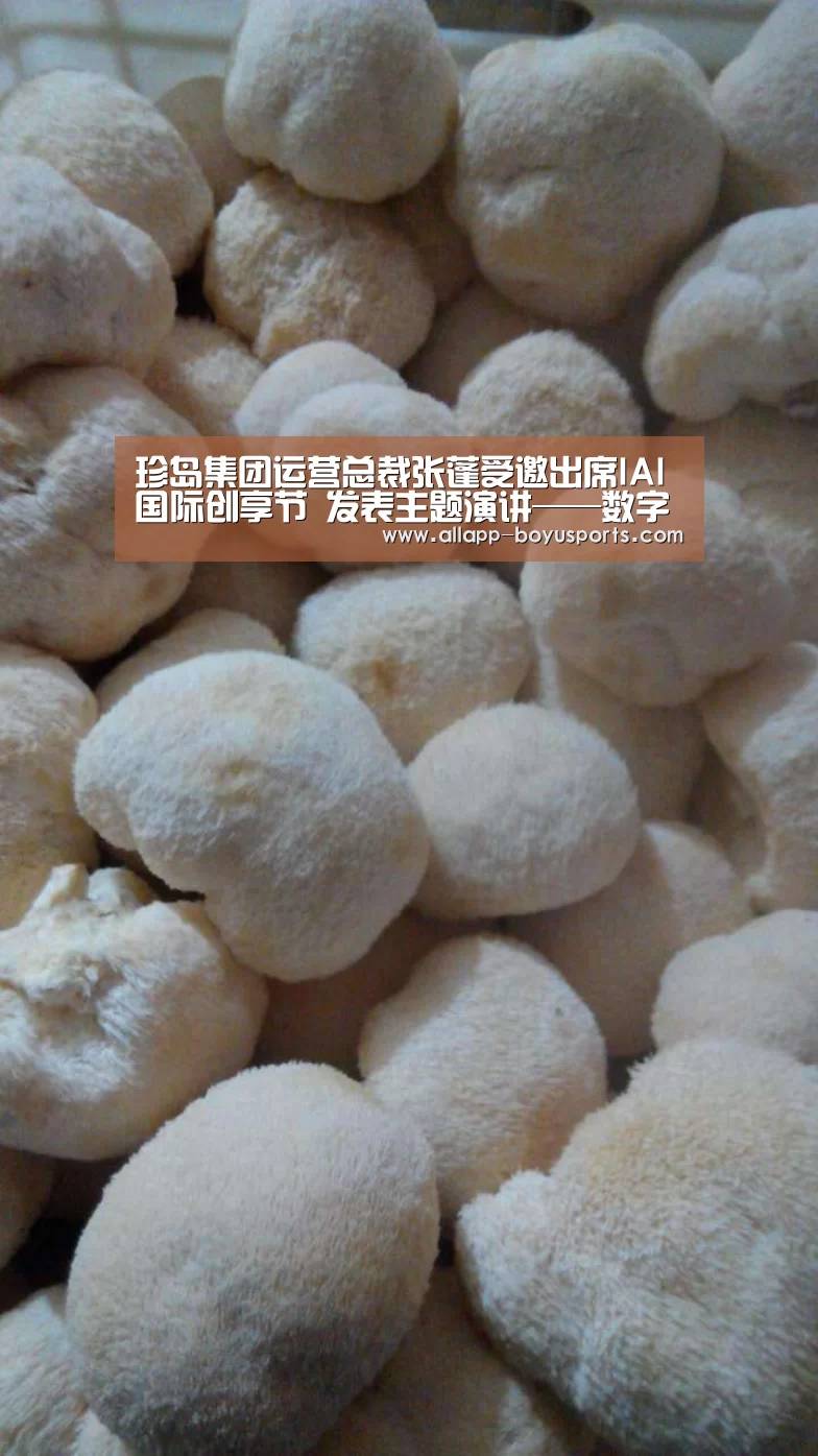 珍岛集团运营总裁张蓬受邀出席IAI国际创享节 发表主题演讲——数字创新,商业之“智”“博鱼体育帮助中心 ”(图1) 博鱼体育帮助中心